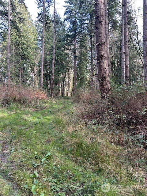 -xxx Hellman Road Clinton, WA 98236 - Photo 3 of 8