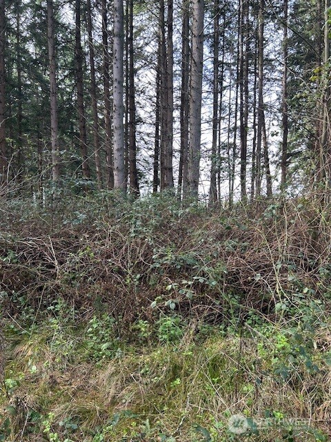 -xxx Hellman Road Clinton, WA 98236 - Photo 4 of 8