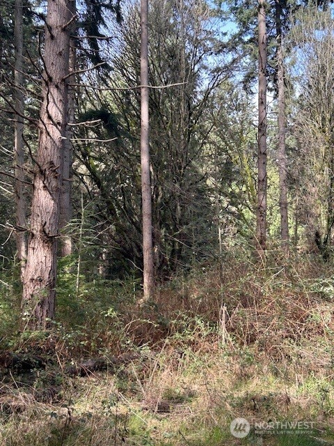 -xxx Hellman Road Clinton, WA 98236 - Photo 5 of 8