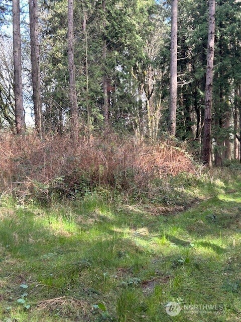 -xxx Hellman Road Clinton, WA 98236 - Photo 6 of 8