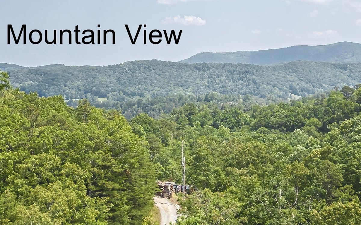 63 Sequoia Ridge Blue Ridge, GA 30513 - Photo 3 of 58 Additional View