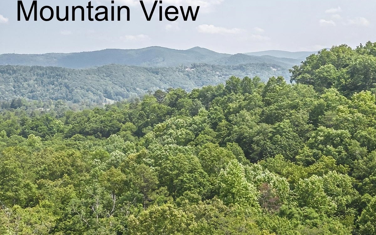 63 Sequoia Ridge Blue Ridge, GA 30513 - Photo 48 of 58 Additional View