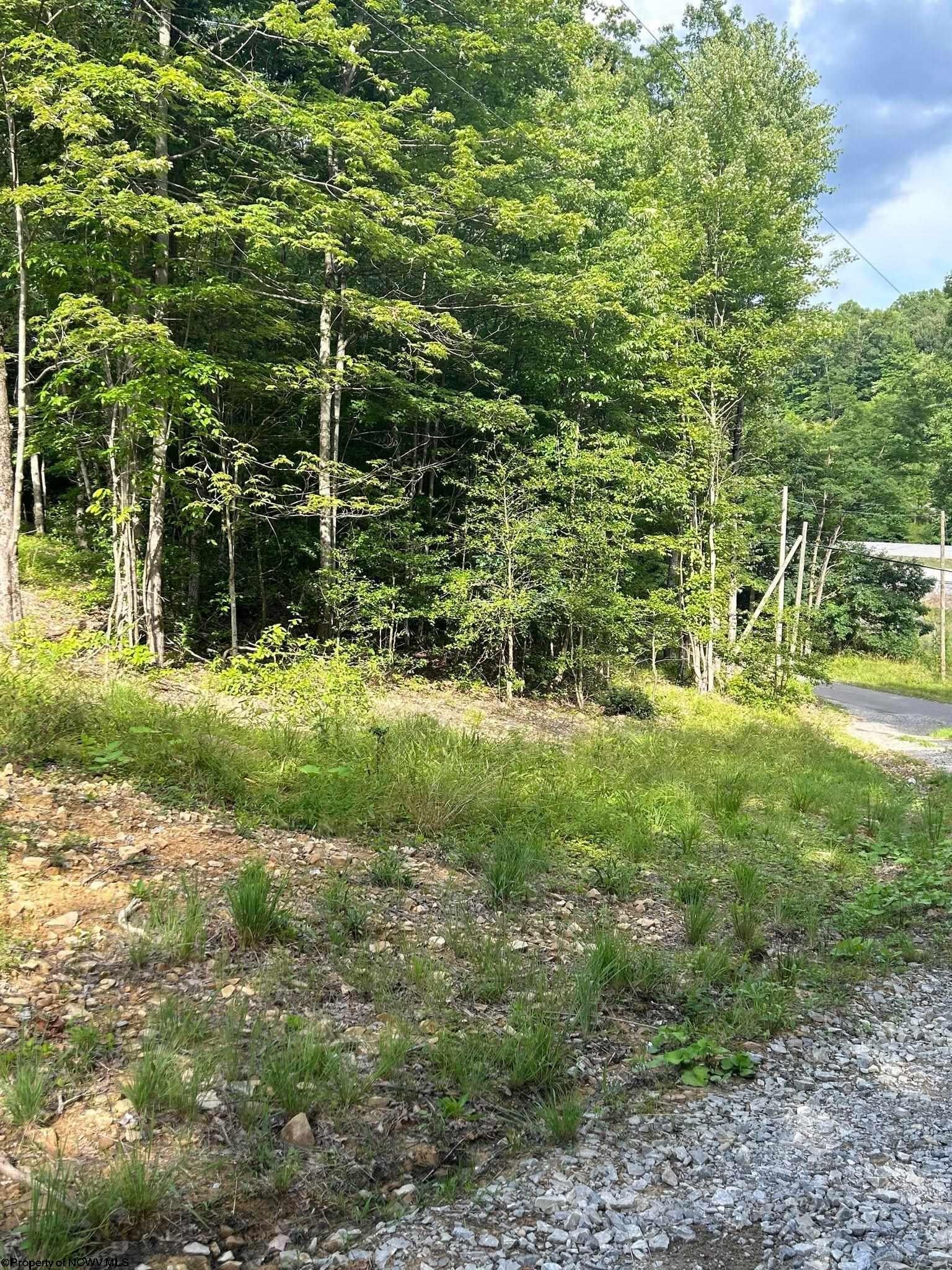 483 Derico Road Ellamore, WV 26267 - Photo 3 of 22 Gallery Image 3