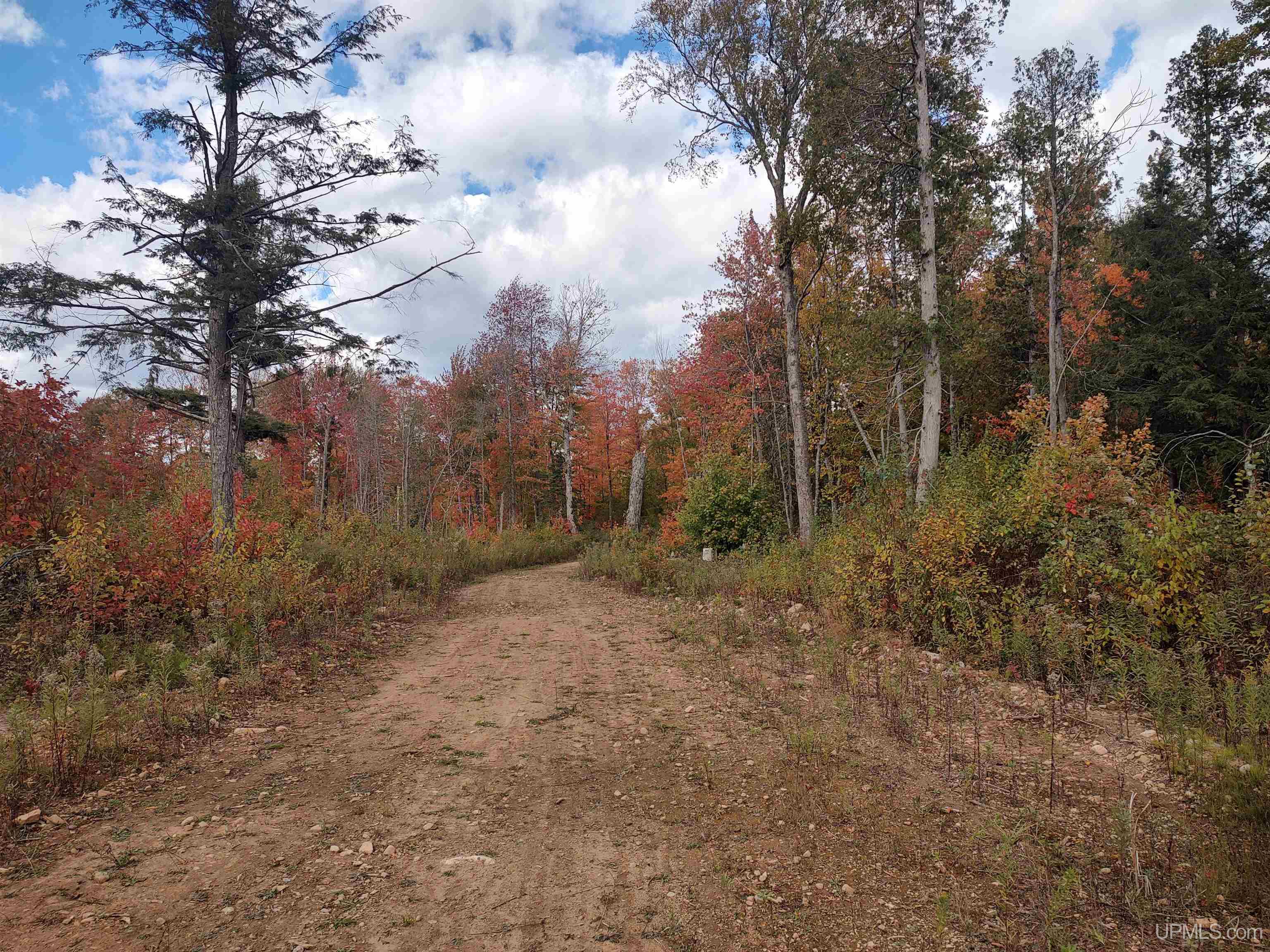 327 Rd Rumely Mi 49826 Road Skandia, MI 49885 - Photo 8 of 23