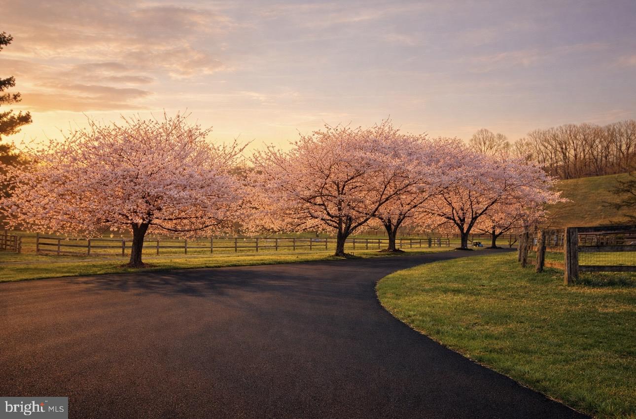 a view of swimming pool with an ocean in background