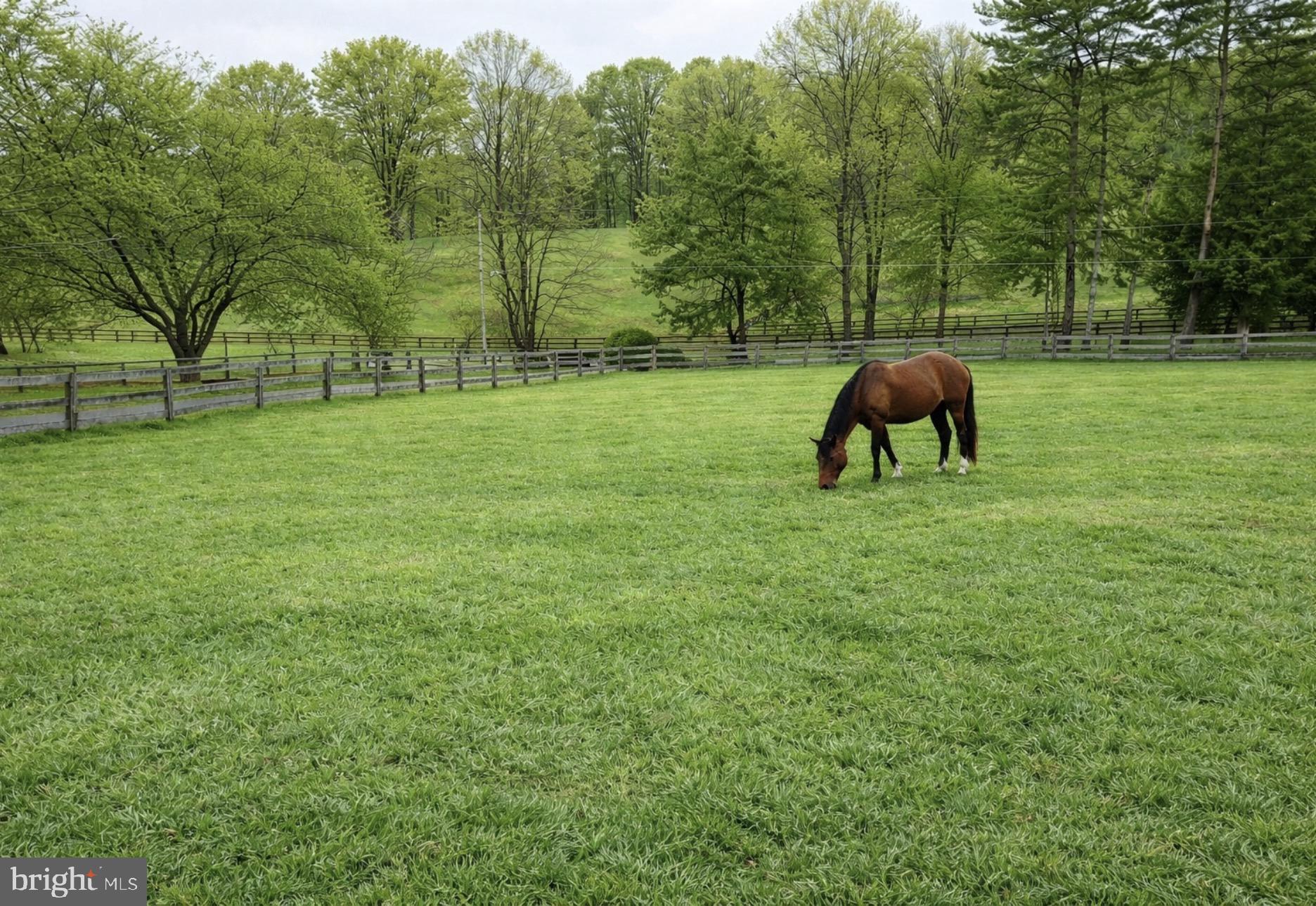 26410 Haines Road Clarksburg, MD 20871 - Photo 27 of 33