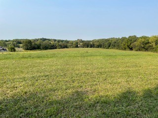 0 Calista Road White House, TN 37188 - Photo 1 of 1 Gallery Image 1