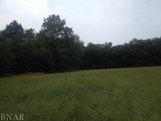 0 Tyrrell Road Mackinaw, IL 61755 - Photo 1 of 1