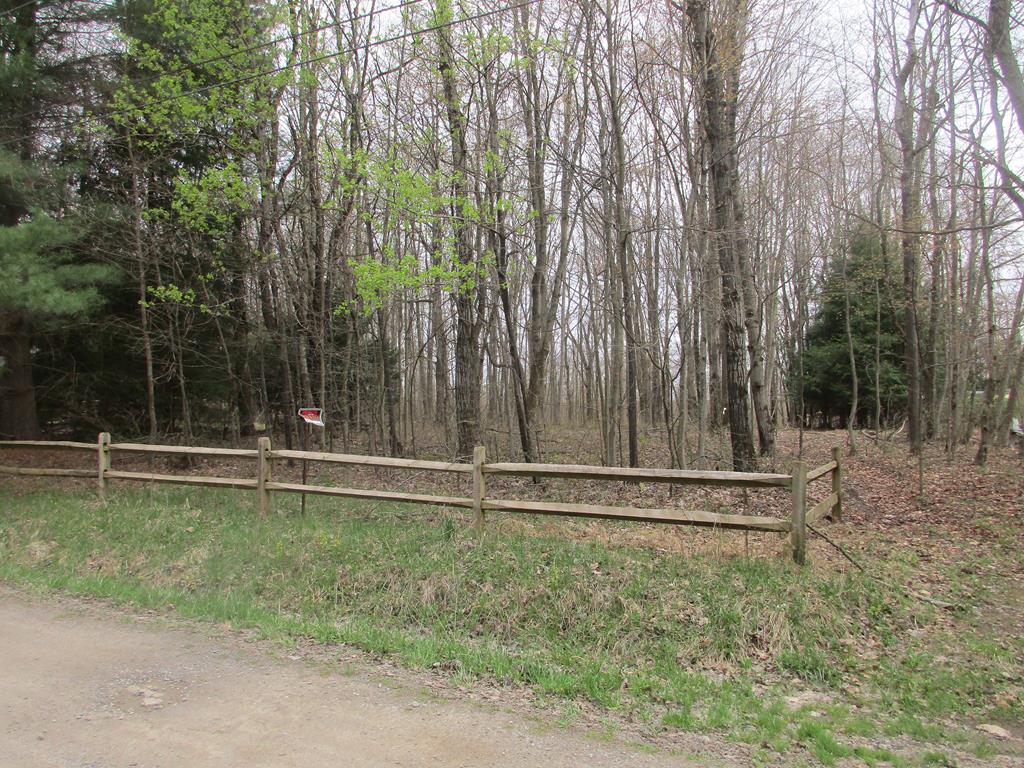 1661 Dennison Run Road Polk, PA 16342 - Photo 1 of 2 a backyard with a fountain