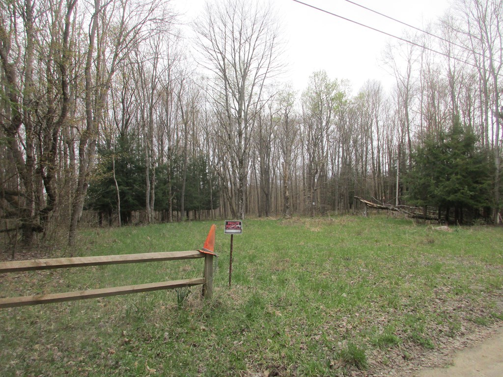 1661 Dennison Run Road Polk, PA 16342 - Photo 2 of 2 a backyard of a house with lots of green space