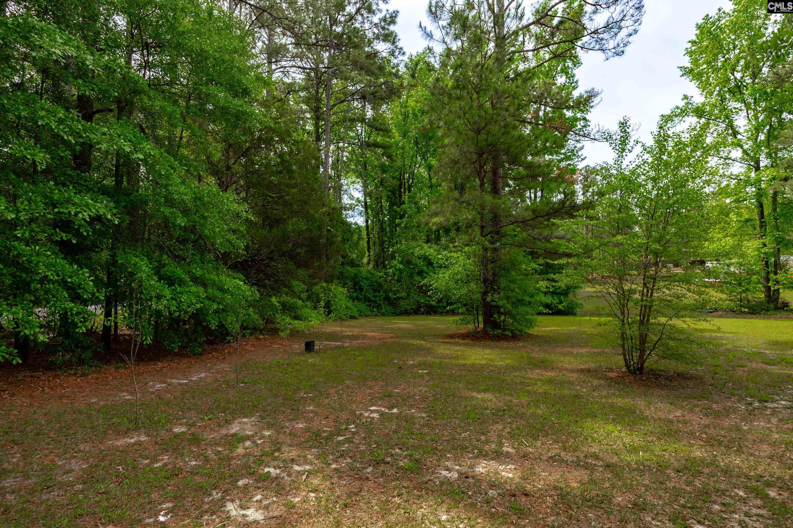 1571 Chestnut Road Elgin, SC 29045 - Photo 36 of 45
