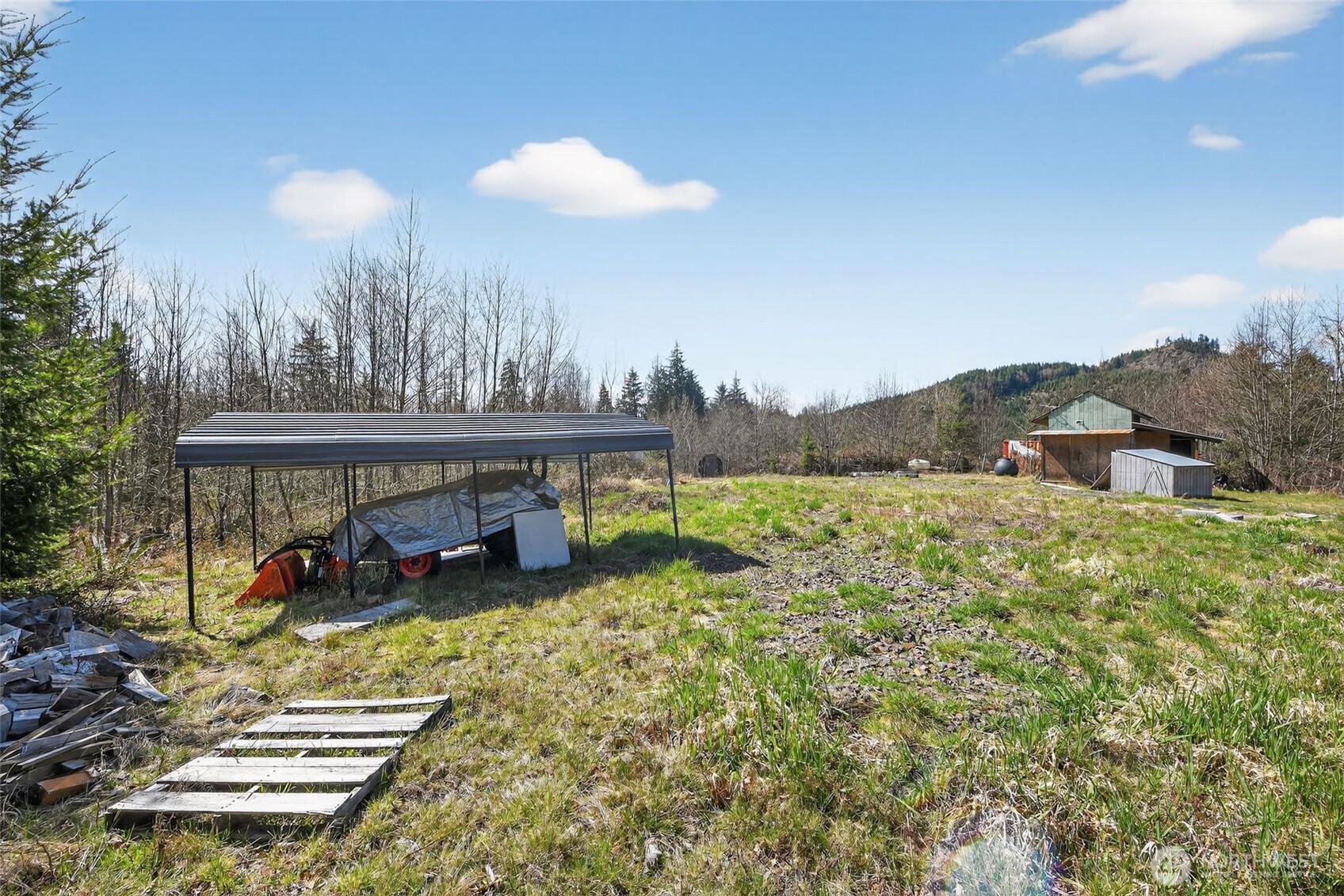 210 Bellicum Road Morton, WA 98356 - Photo 4 of 31