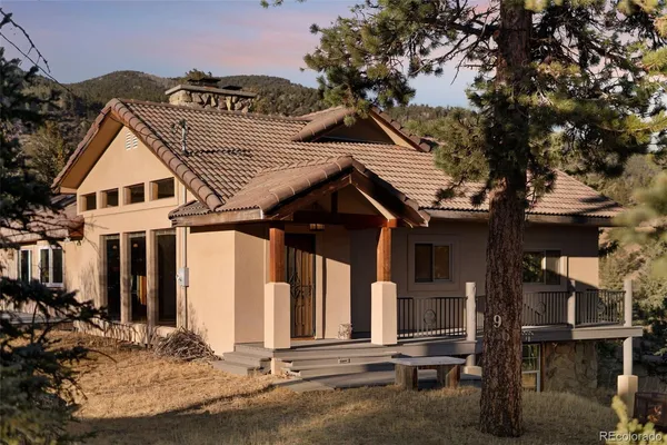 a view of a tree in a field with a tree