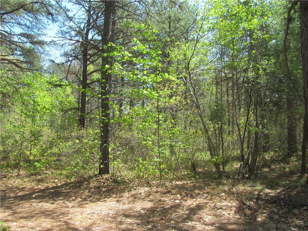 49 Silver Lake Road Shapleigh, ME 04076 - Photo 16 of 17 Photo