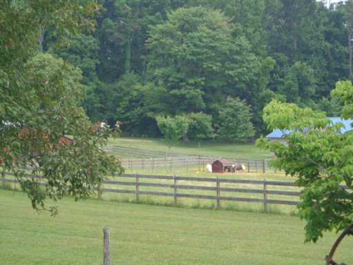 250 Keener Road Seymour, TN 37865 - Photo 5 of 13 Additional Photo