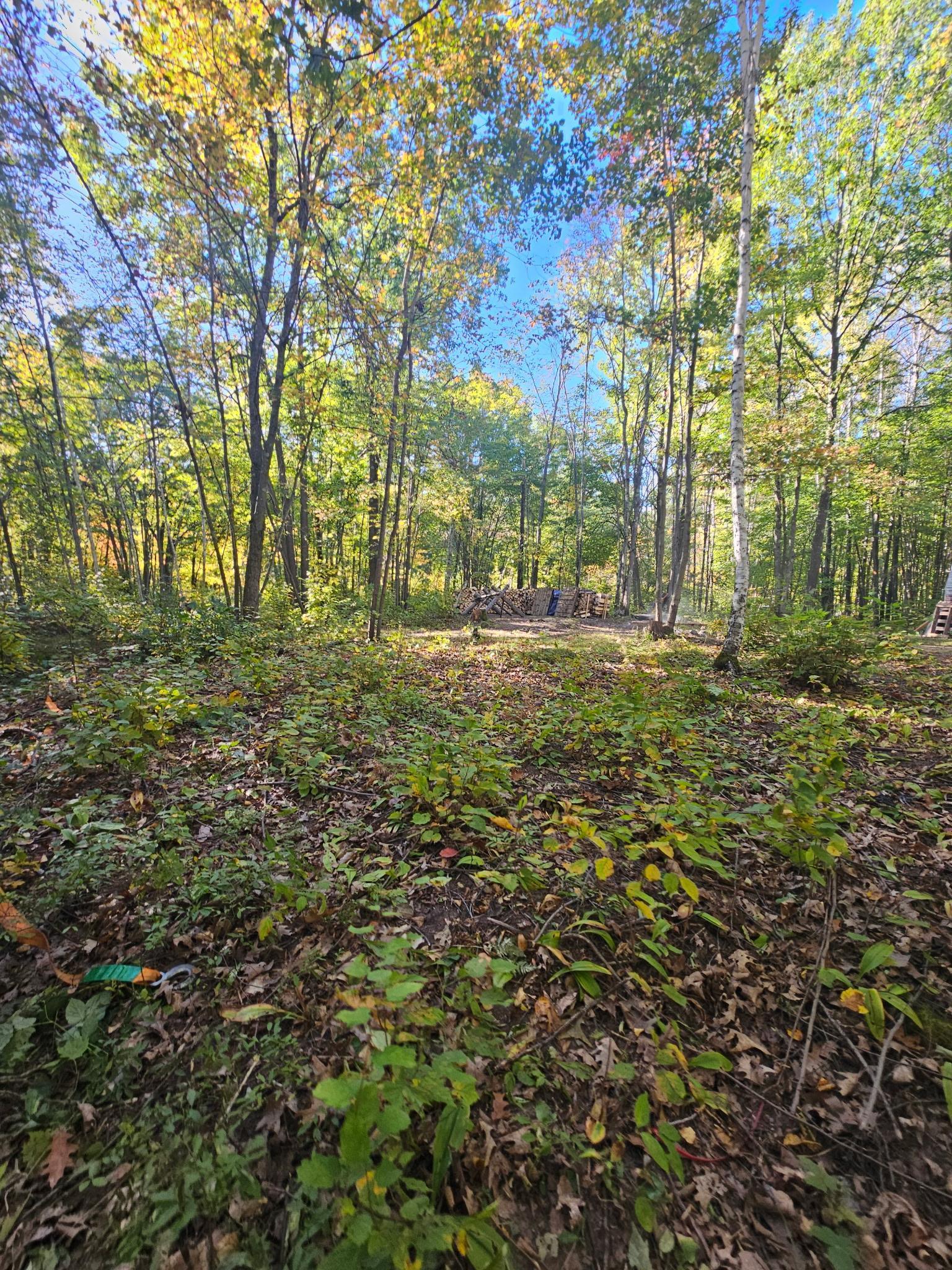 40353 Root Road Bruno, MN 55712 - Photo 3 of 4