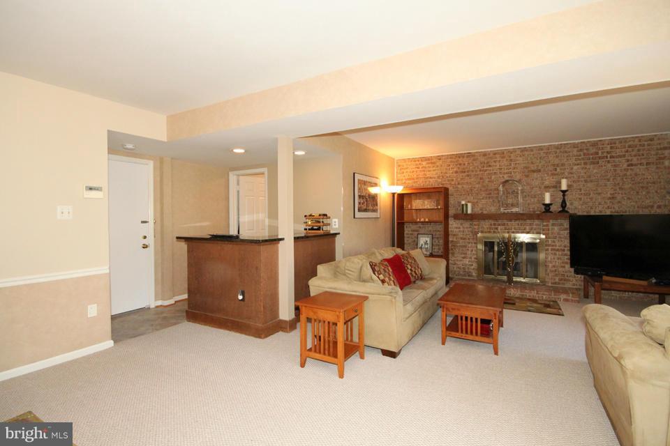 10136 Red Spruce Road Fairfax, VA 22032 - Photo 12 of 30 Family Room