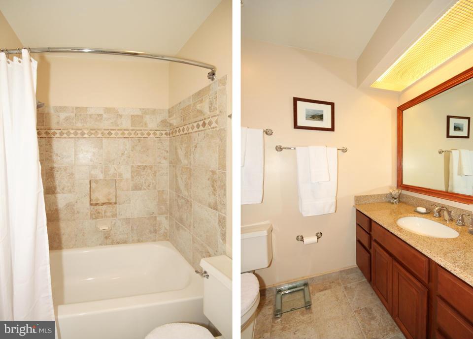 10136 Red Spruce Road Fairfax, VA 22032 - Photo 18 of 30 Bath (Master)