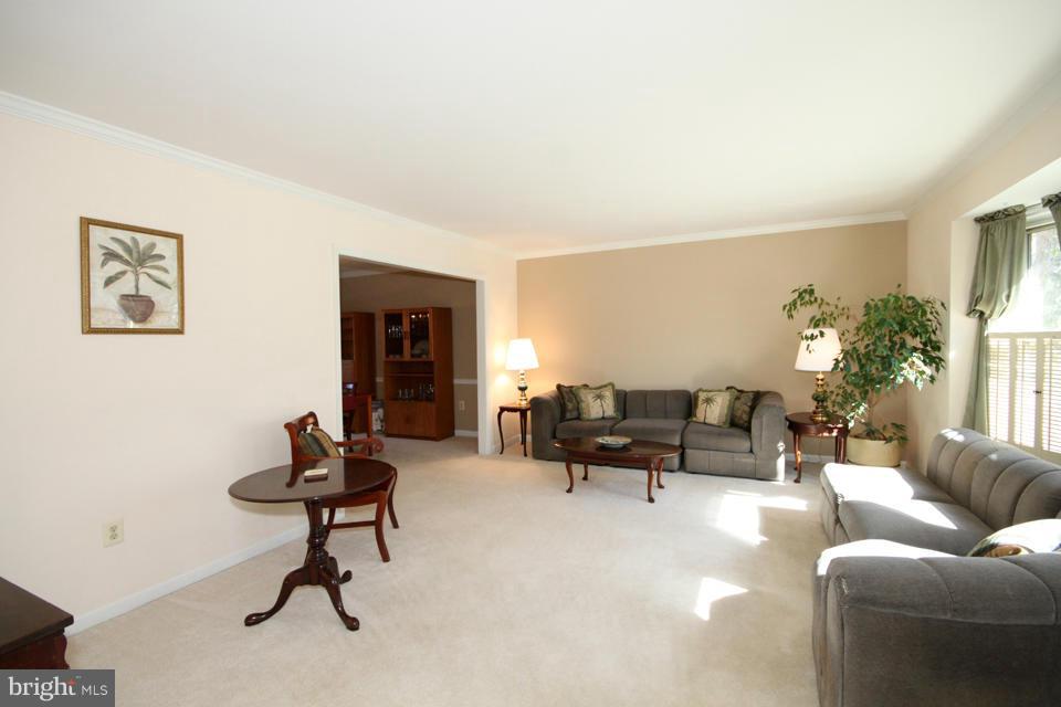 10136 Red Spruce Road Fairfax, VA 22032 - Photo 3 of 30 Living Room