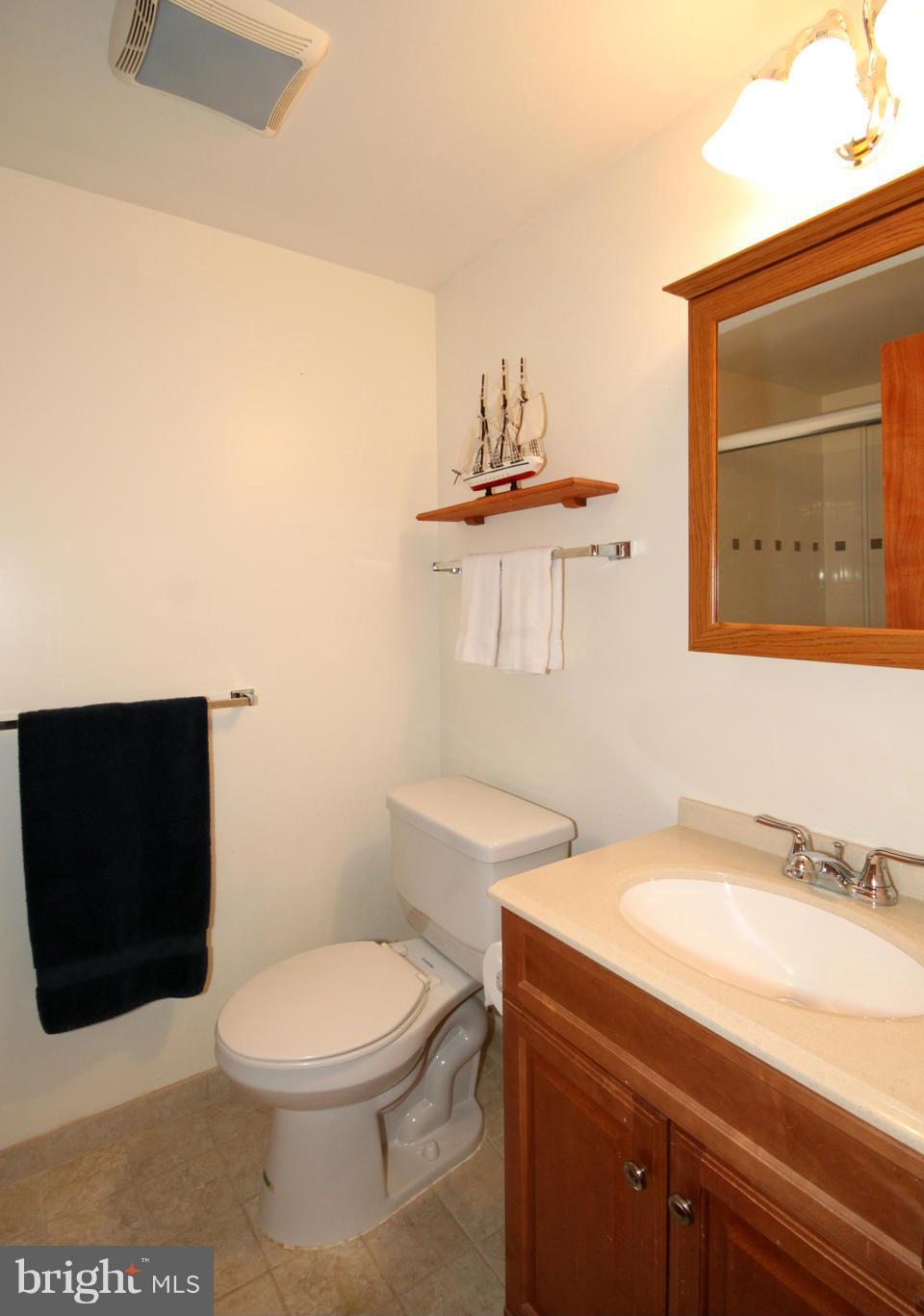10136 Red Spruce Road Fairfax, VA 22032 - Photo 24 of 30 Bath