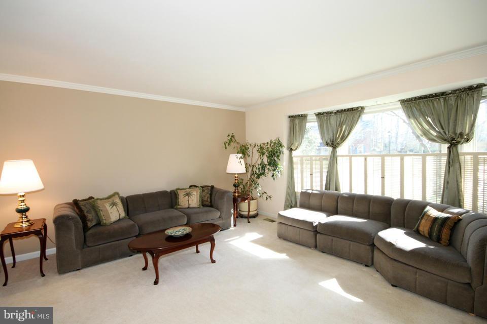 10136 Red Spruce Road Fairfax, VA 22032 - Photo 4 of 30 Living Room