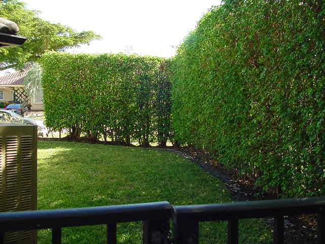 4469 Woodfield Boulevard Boca Raton, FL 33434 - Photo 20 of 20 Additional Photo