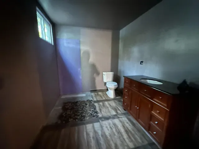 a view of a back yard from a bathroom