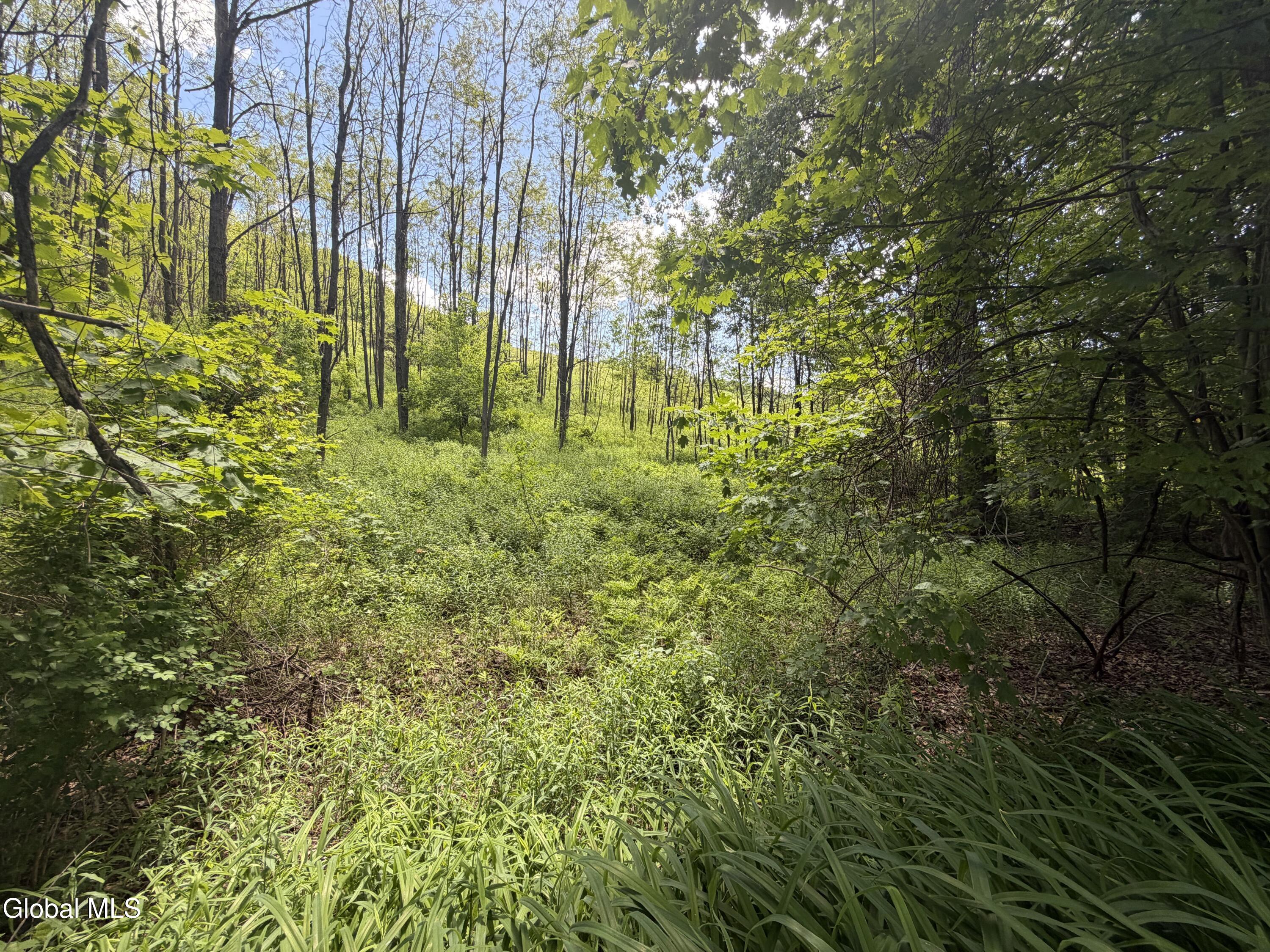 L132.5 Aldous Road Granville, NY 12832 - Photo 11 of 23 4029