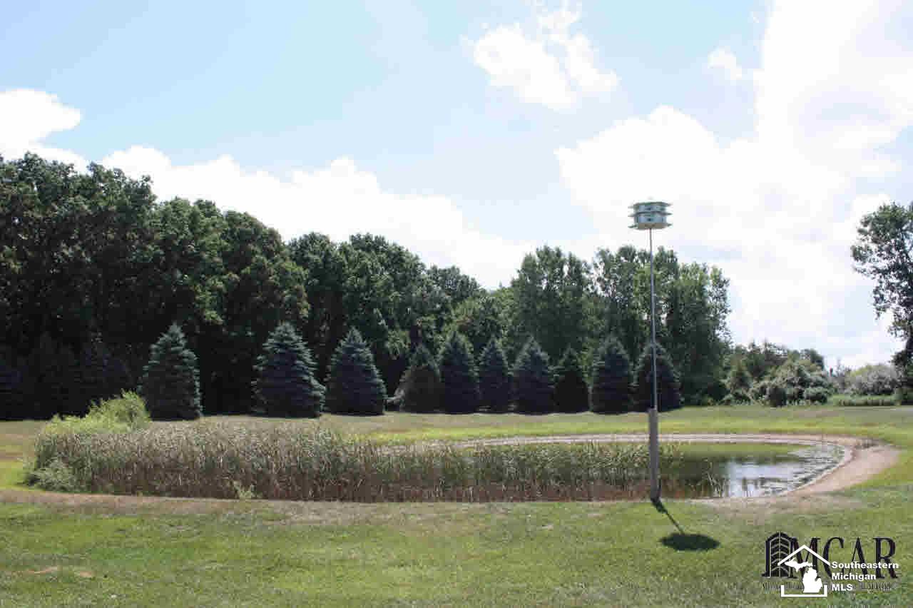 15183 West Albain Road Petersburg, MI 49270 - Photo 25 of 29 Pond