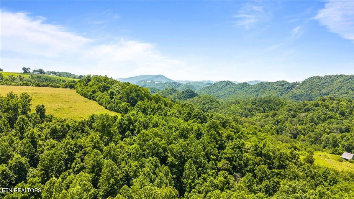 6 Bundren Mountain Road Tazewell, TN 37879 - Photo 12 of 14 01-Bundren Mountain Rd