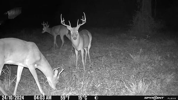 $865,000 | 757 County Road 109, Devers, TX 77538