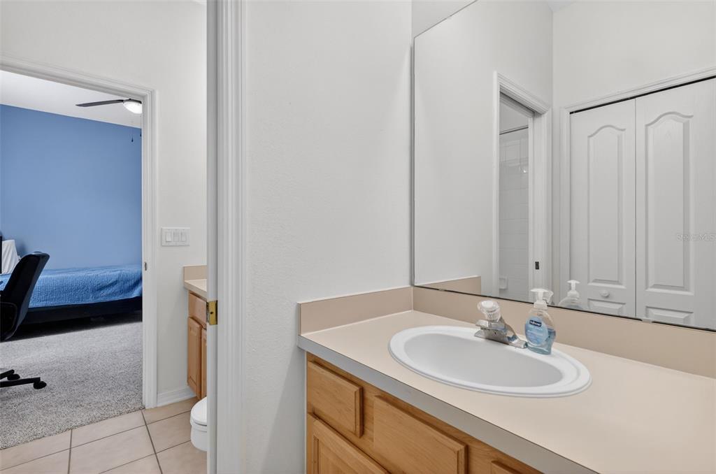 9041 Laurel Ridge Drive Mount Dora, FL 32757 - Photo 30 of 40