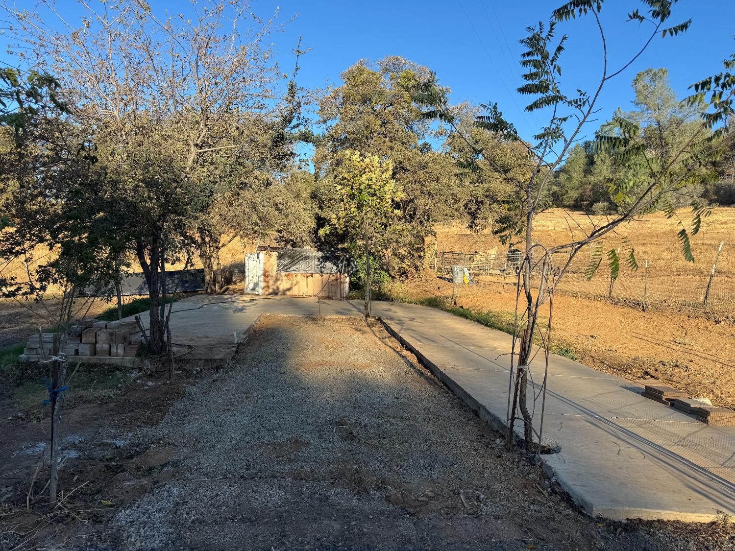 172 Rich Gulch Road Oroville, CA 95965 - Photo 15 of 37 a view of a yard with large trees
