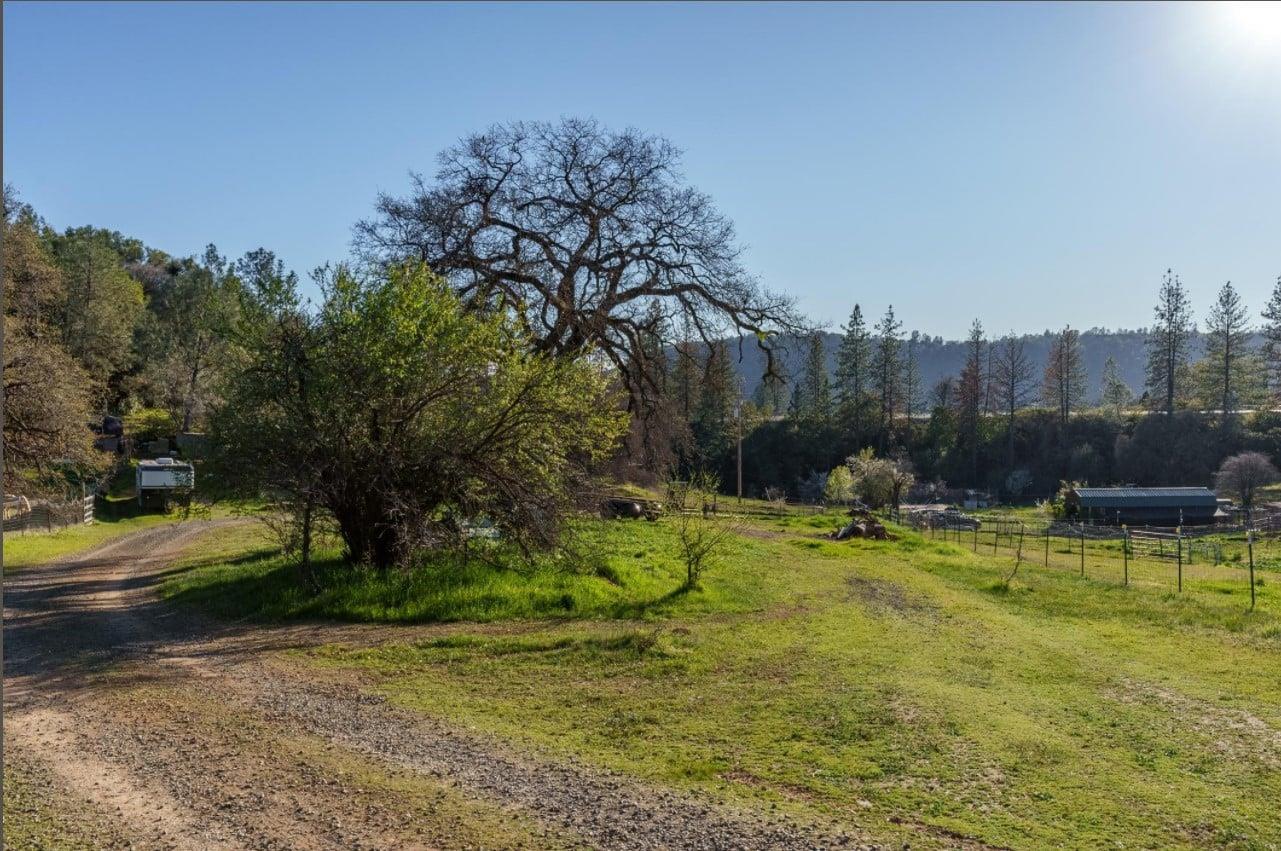 172 Rich Gulch Road Oroville, CA 95965 - Photo 26 of 37 a view of swimming pool
