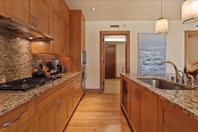 a kitchen with stainless steel appliances granite countertop a sink and a refrigerator