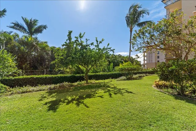 a view of a garden with a tree