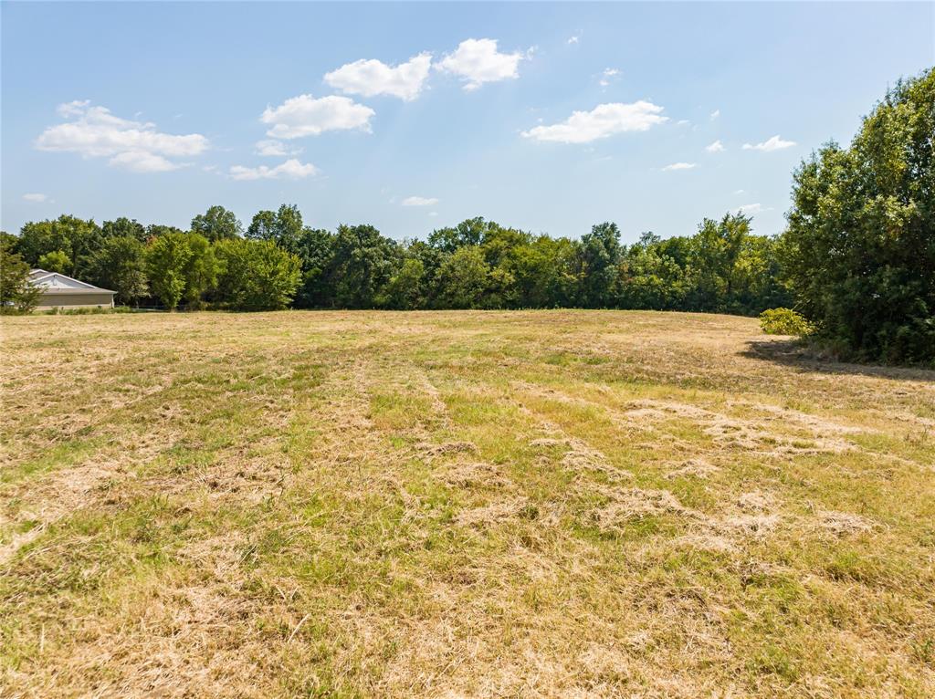Tba Stillhouse Road Paris, TX 75460 - Photo 11 of 21 View of yard featuring a wooded view and a rural view