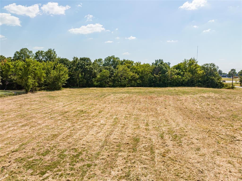 Tba Stillhouse Road Paris, TX 75460 - Photo 12 of 21 View of local wilderness with a rural view