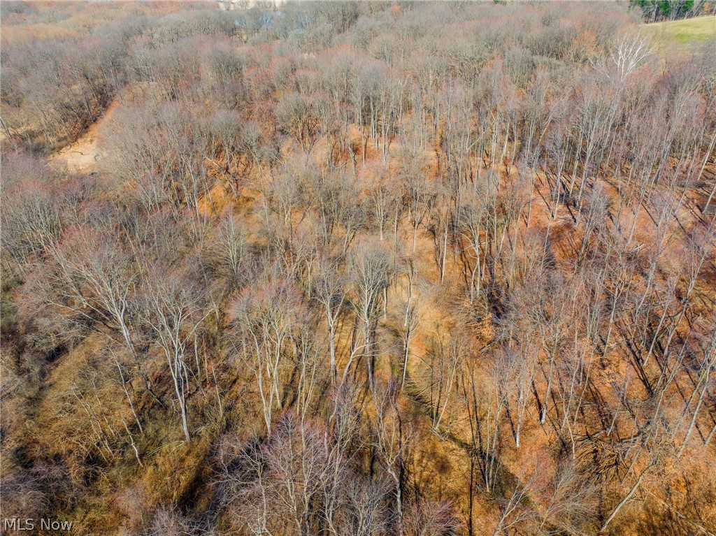 2535 Millersburg Road Wooster, OH 44691 - Photo 43 of 46 Aerial view of a forest
