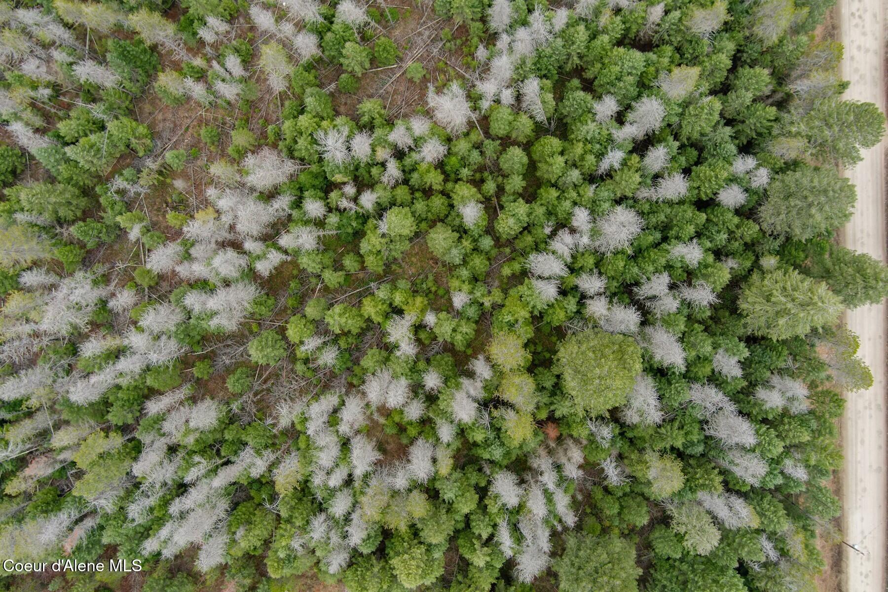 Nna North Nna N Roberts Road Athol, ID 83801 - Photo 11 of 13 .