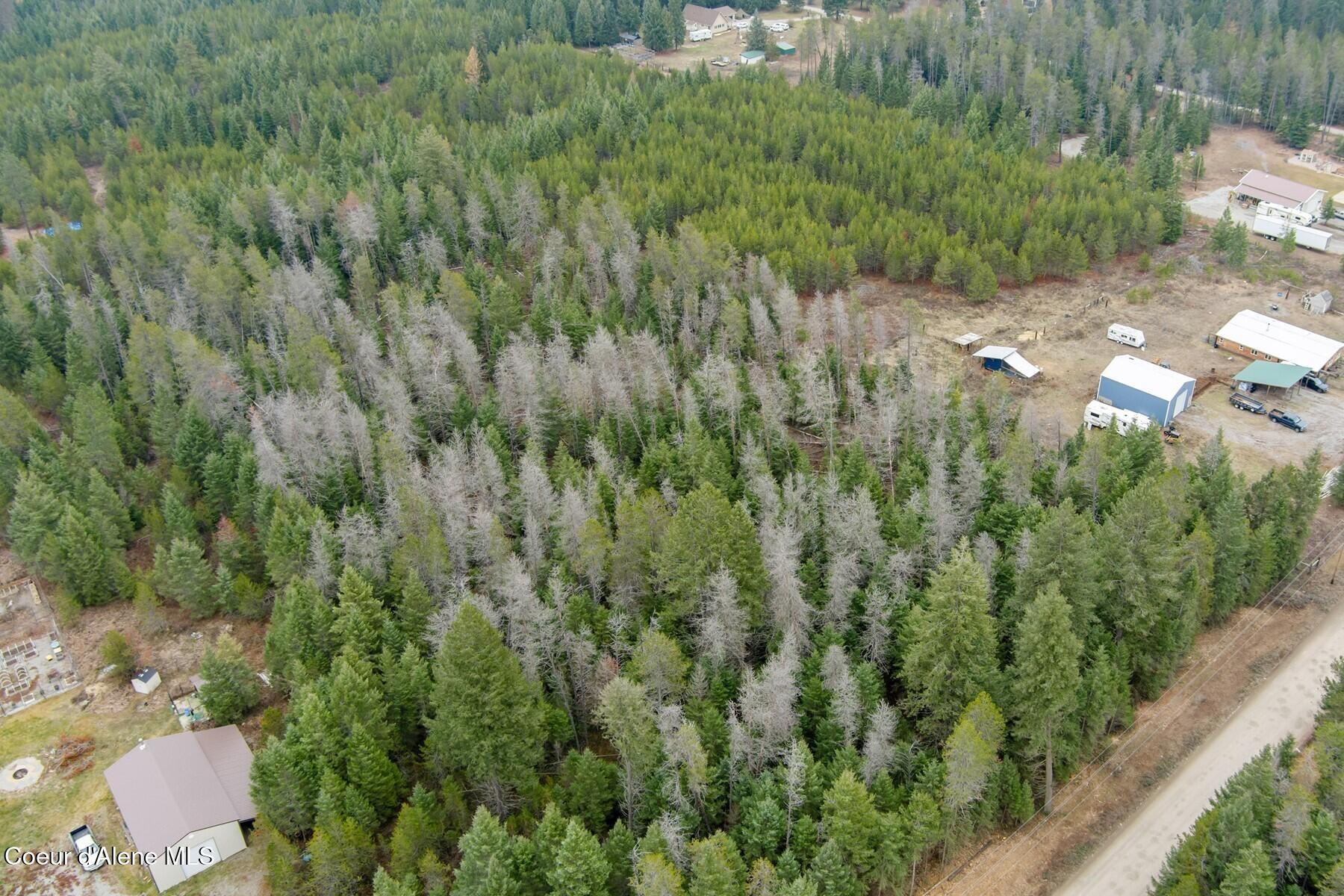 Nna North Nna N Roberts Road Athol, ID 83801 - Photo 3 of 13 Tranquil