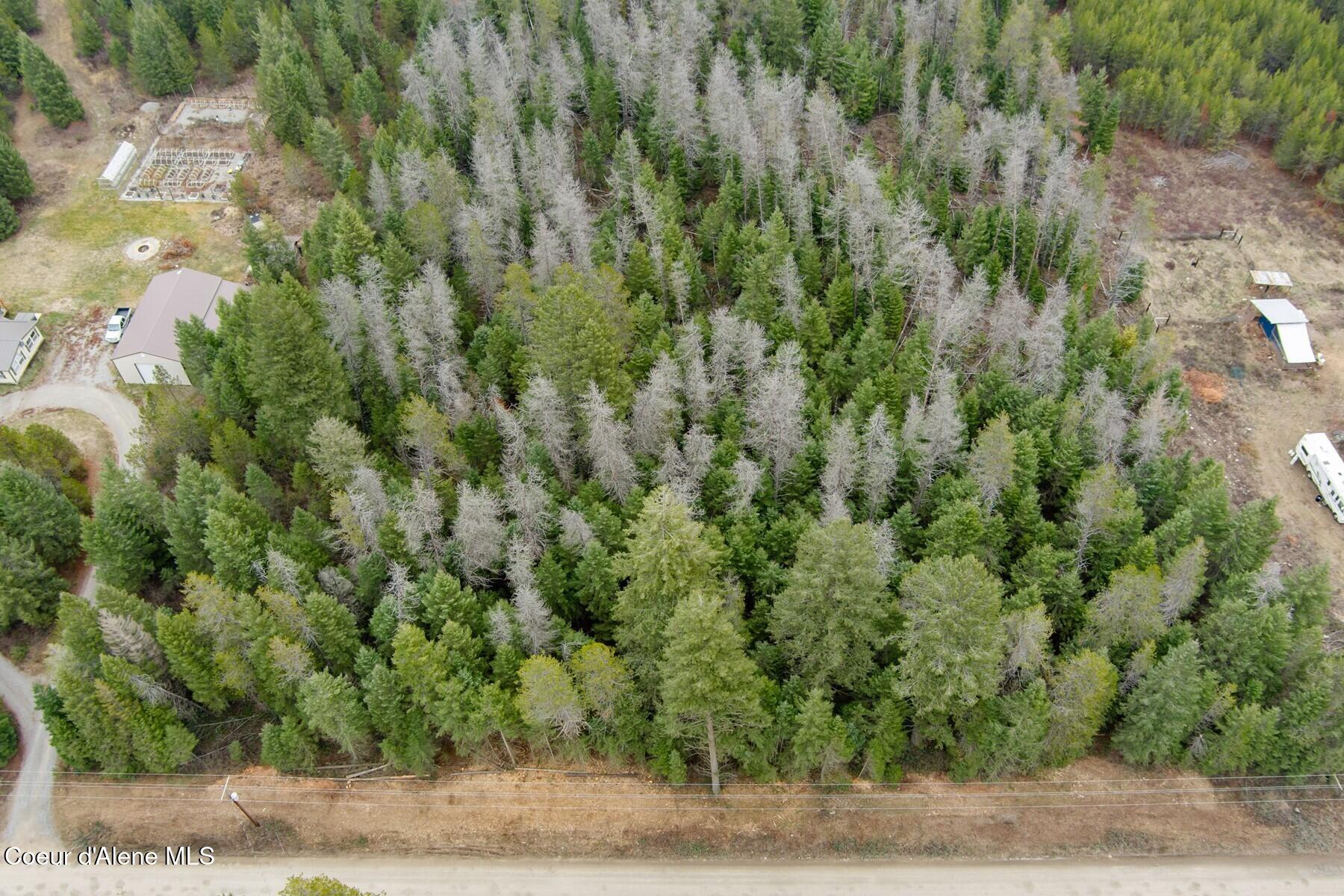 Nna North Nna N Roberts Road Athol, ID 83801 - Photo 5 of 13 Your Peaceful 5-Acre Retreat