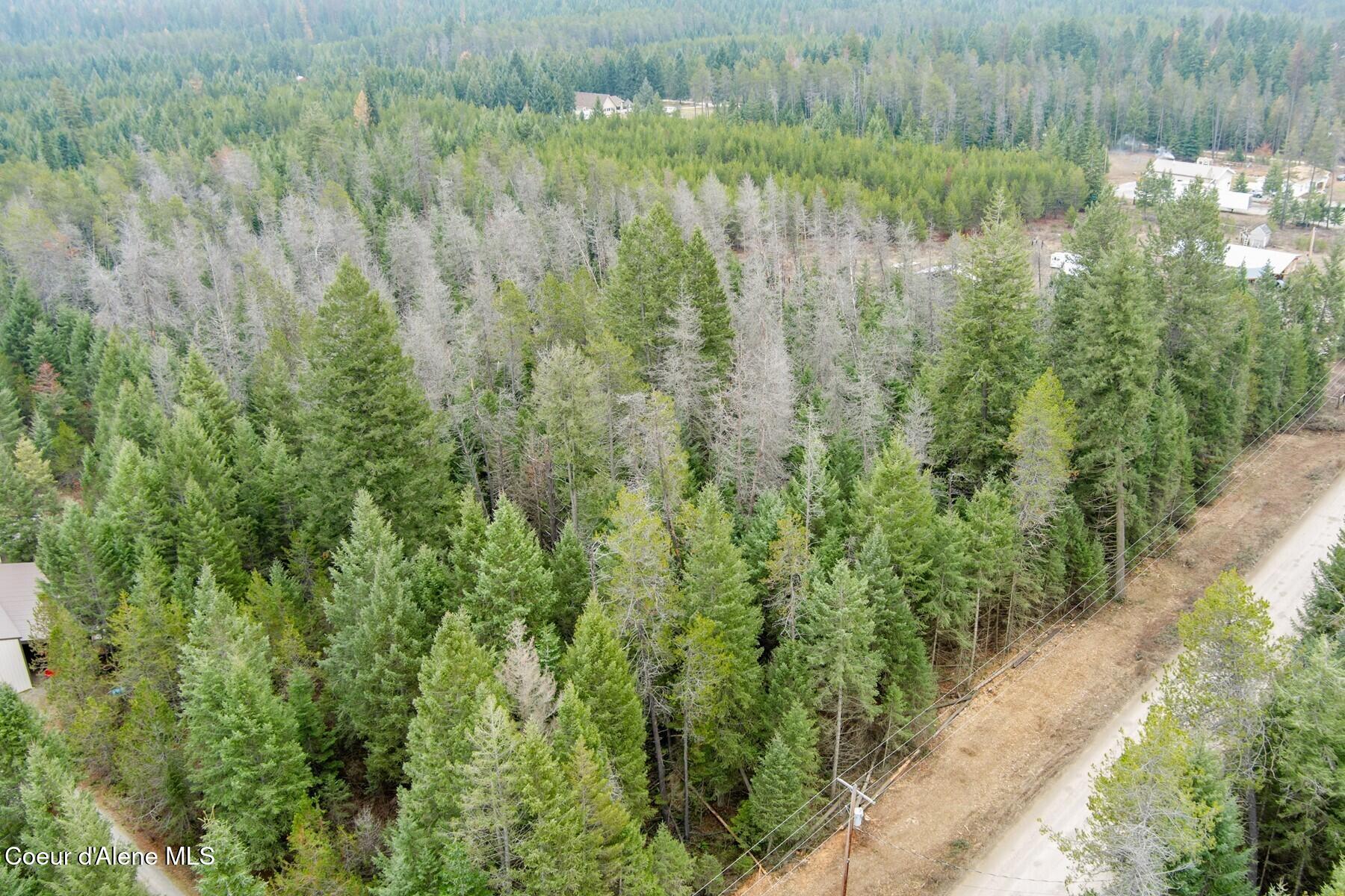 Nna North Nna N Roberts Road Athol, ID 83801 - Photo 8 of 13 .