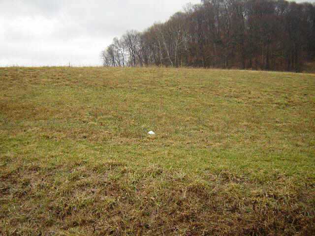 0 Southeast Sugar Grove Road Sugar Grove, OH 43155 - Photo 6 of 6