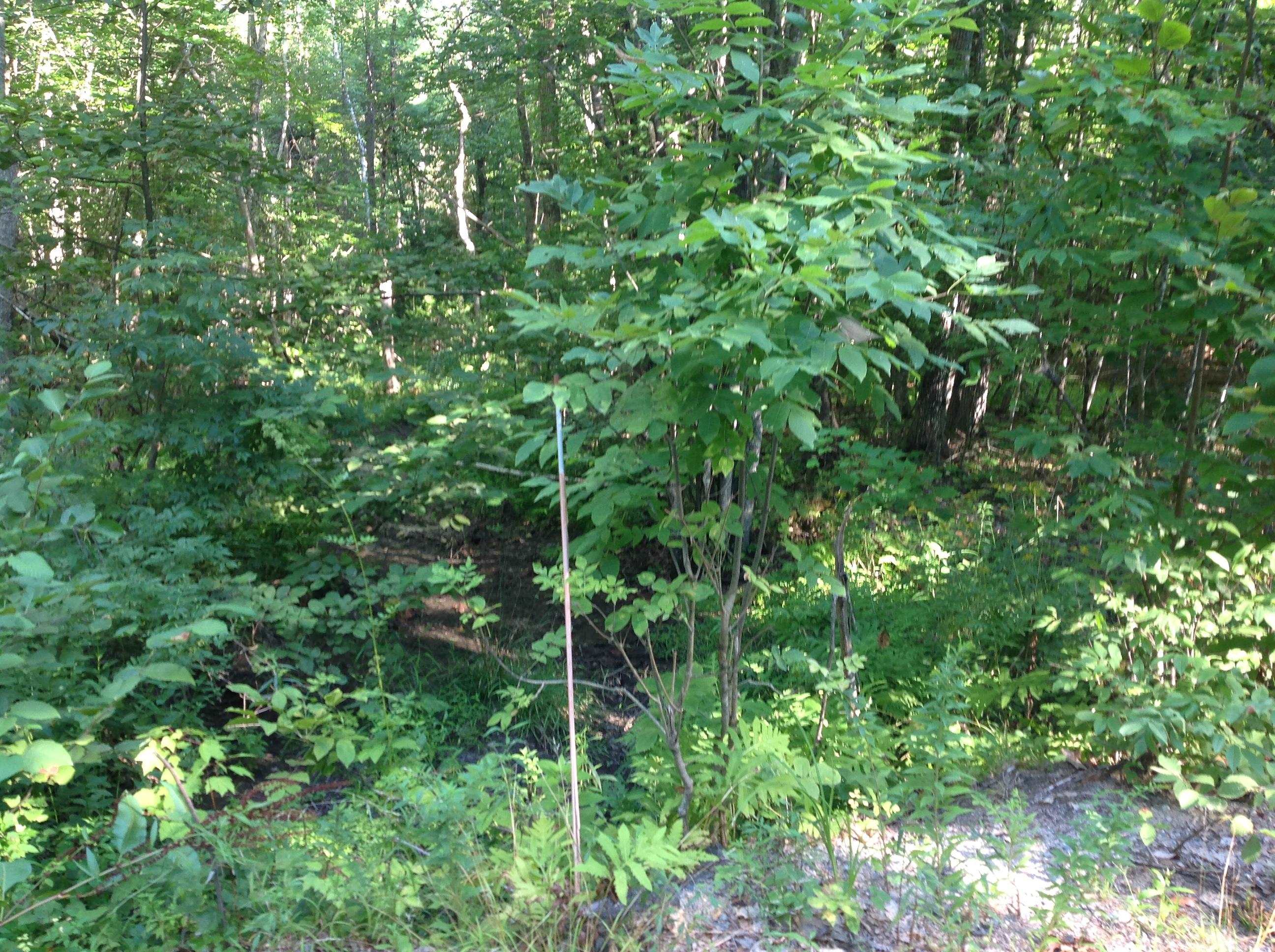 29 Stoneview Road Ossipee, NH 03864 - Photo 5 of 8 Gallery Image 5