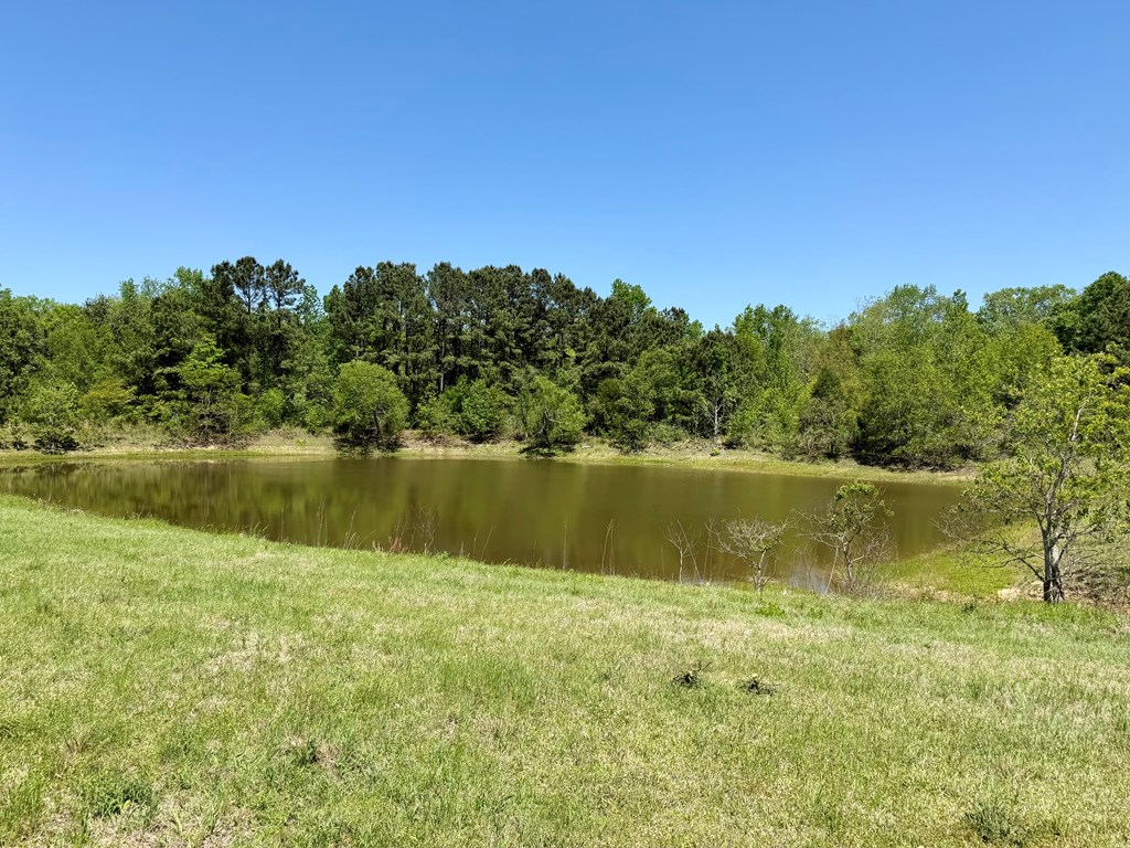 12.37-acres Huskey Road Dothan, AL 36303 - Photo 3 of 16