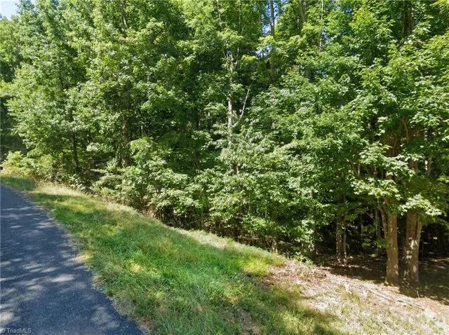 $15,000 | Lot 21 Harvest Circle, Asheboro, NC 27203