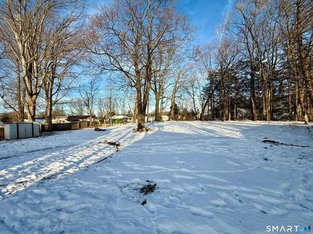 a view of road with trees