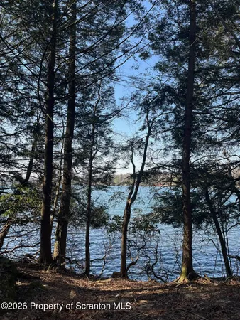 $125,000 | Coxton Woods Lane, Thompson, PA 18465