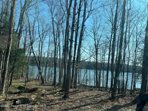 $125,000 | Coxton Woods Lane, Thompson, PA 18465